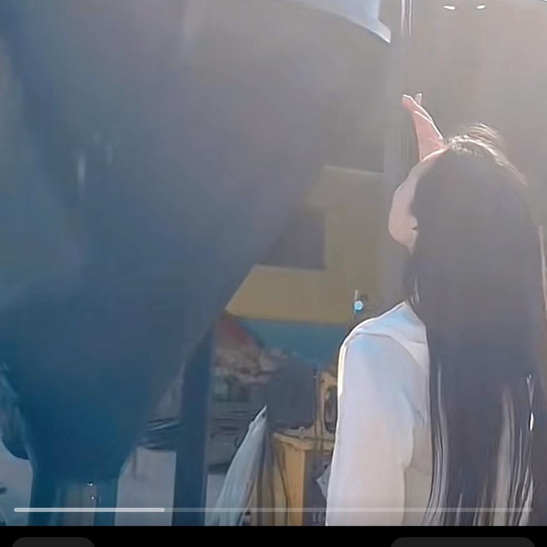 搅拌烘干机专业户