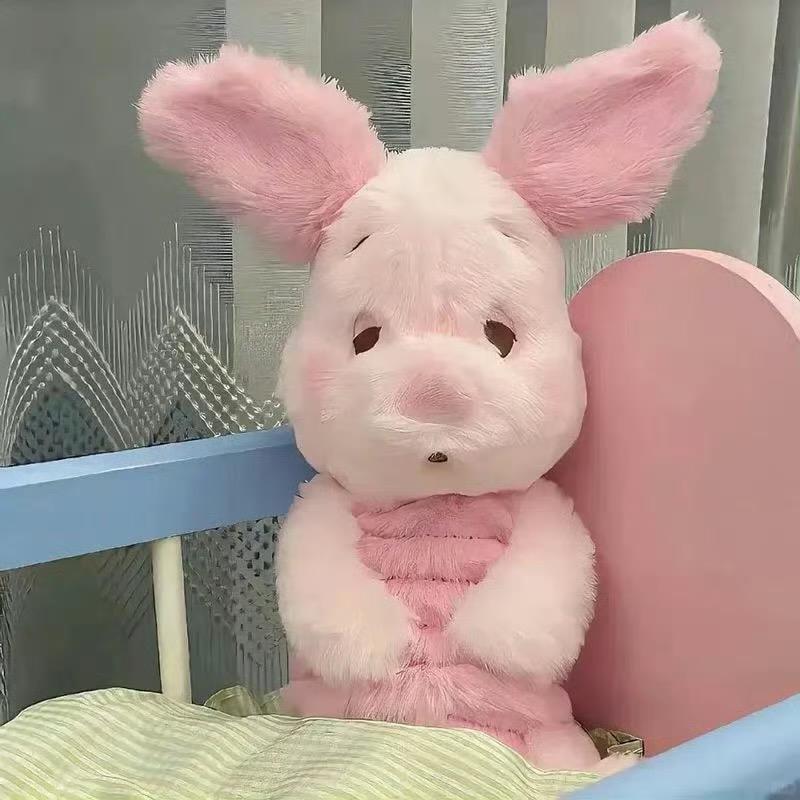 今天兔子吐了