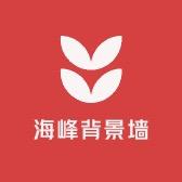 海峰定制背景墙厂家