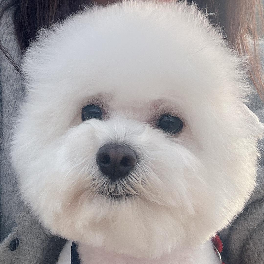 月半湾