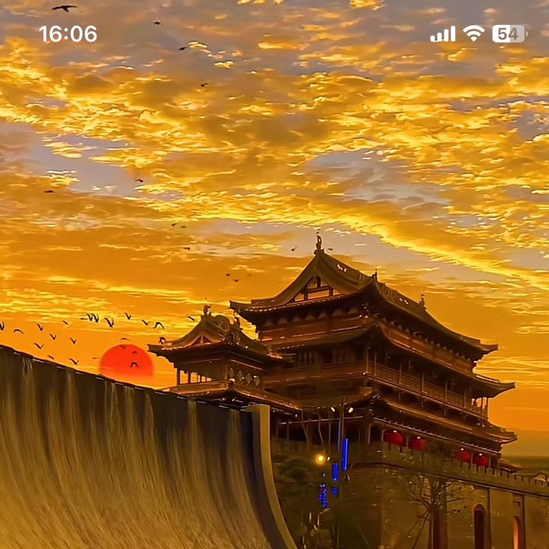 羽