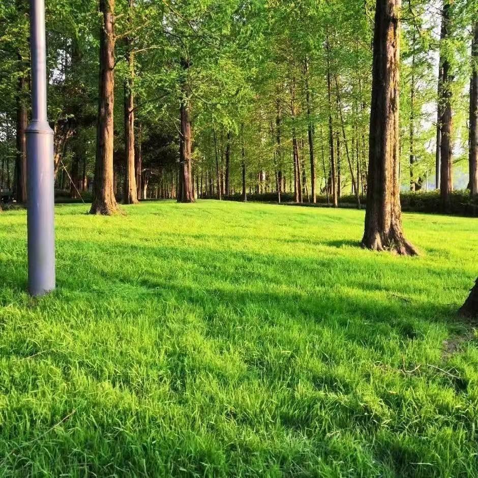 那天（和平精英）