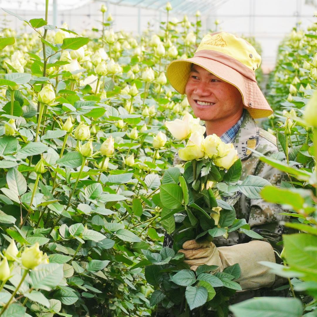 鲜花新农人