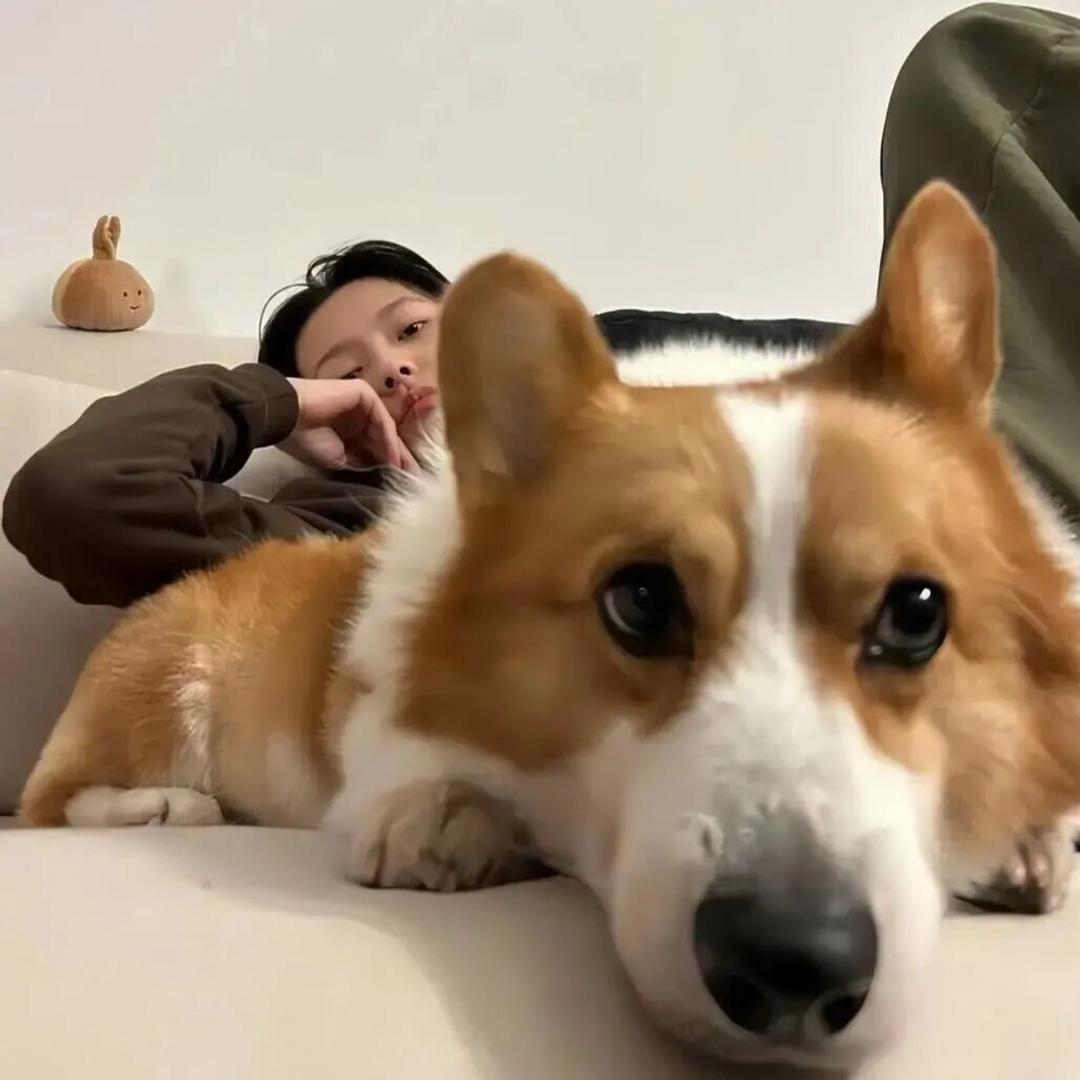 噜噜