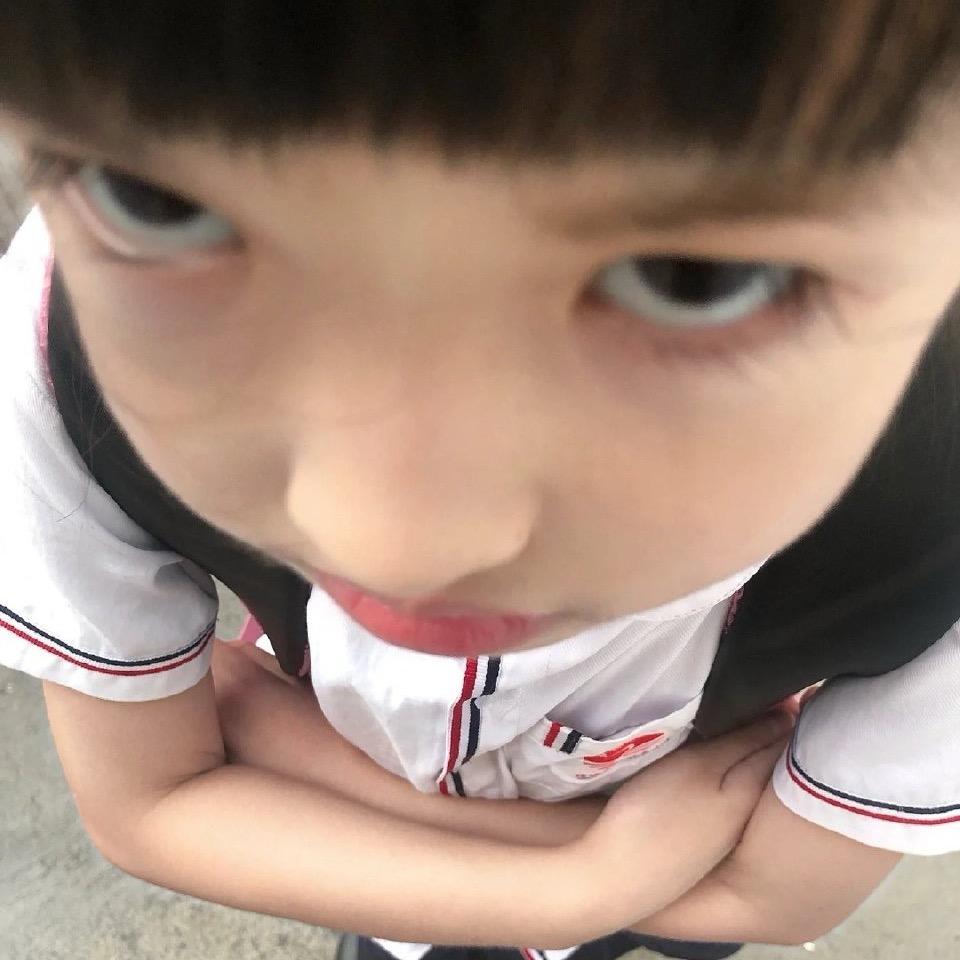会摆烂