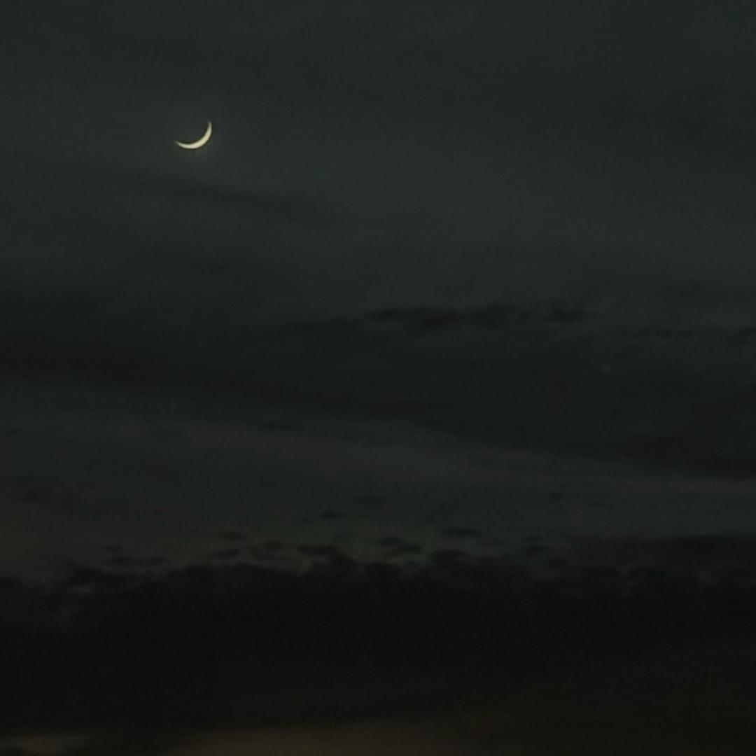 给世界吃一碗意大利面