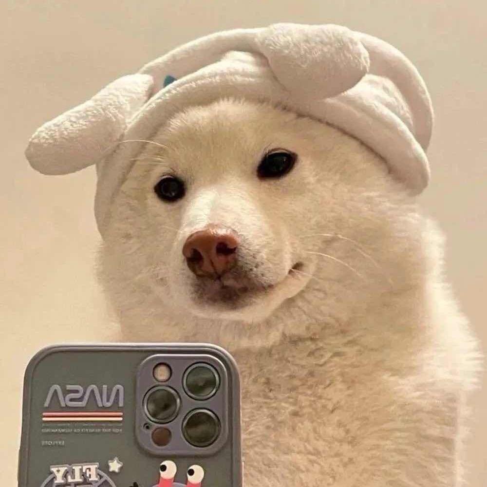 战神殿阿桂