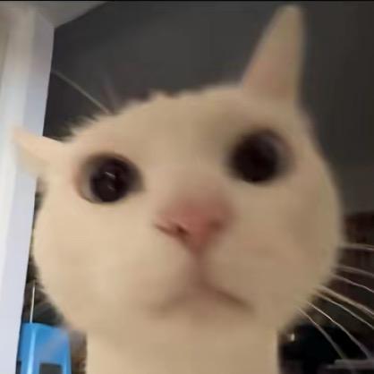 雾词