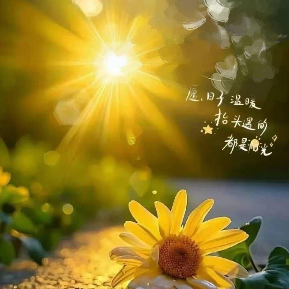 阳光温暖