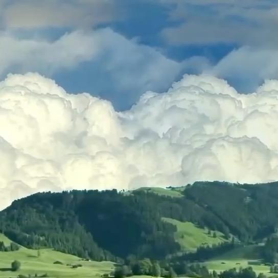 W..