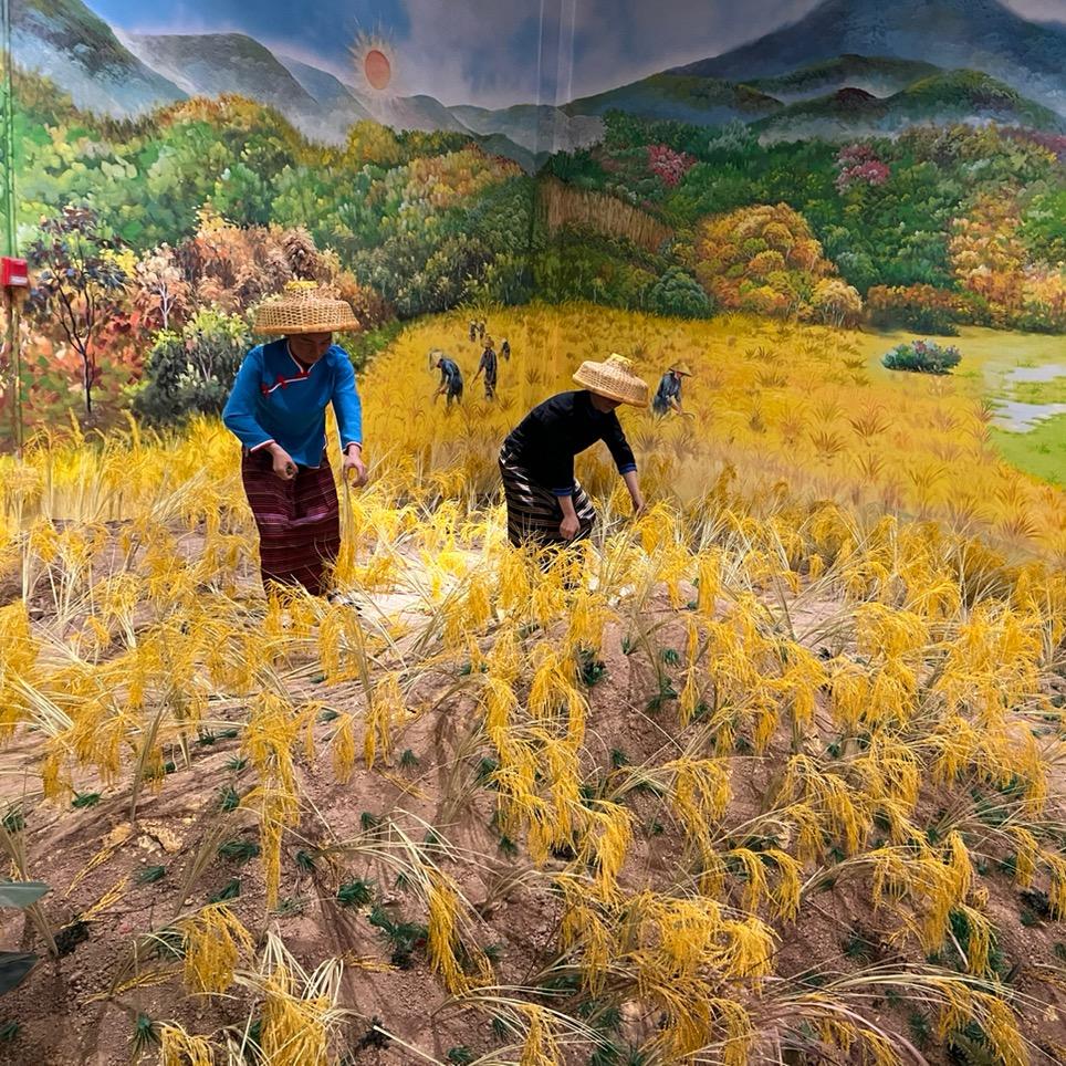 秋天的枫叶，390