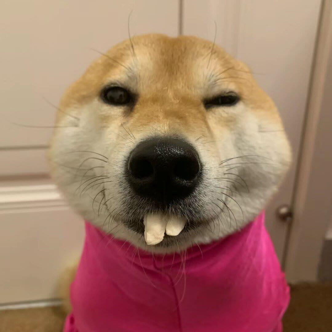范头铁