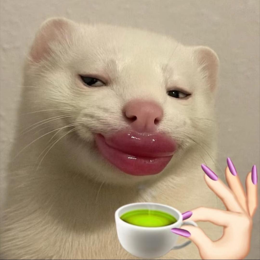 乔不乔