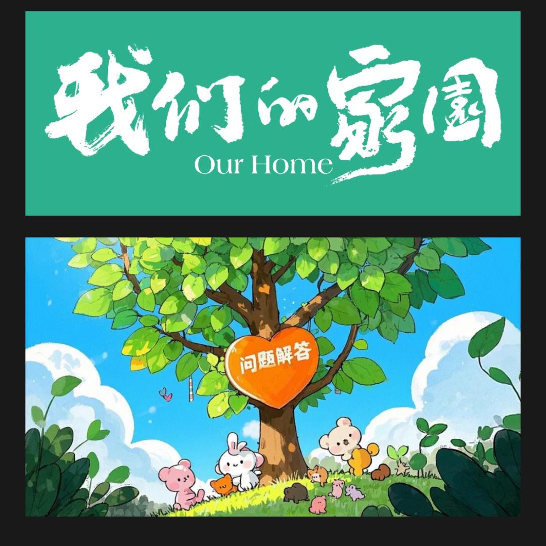 重庆邦选