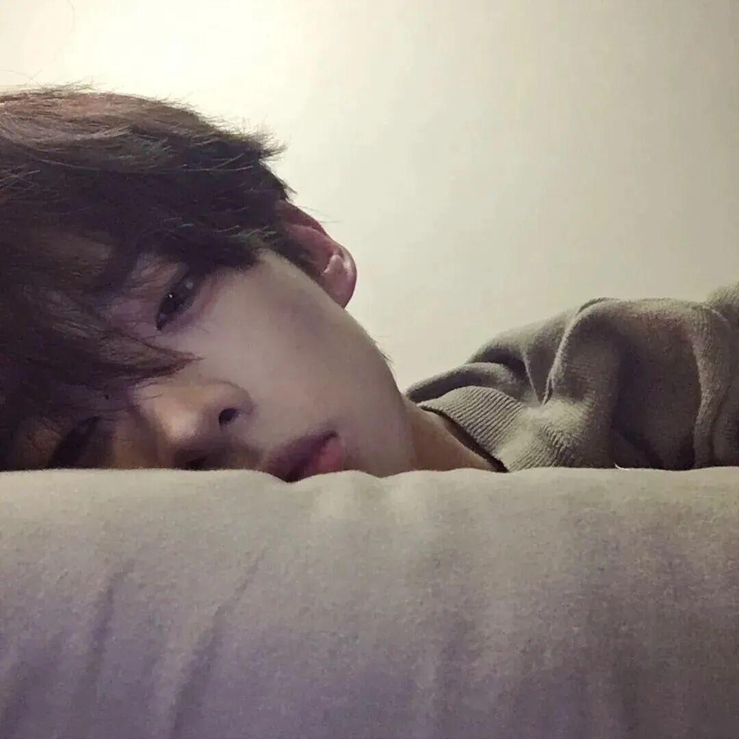 陈先森爱睡觉💤