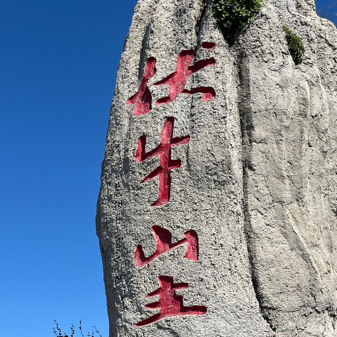 余生向钱看