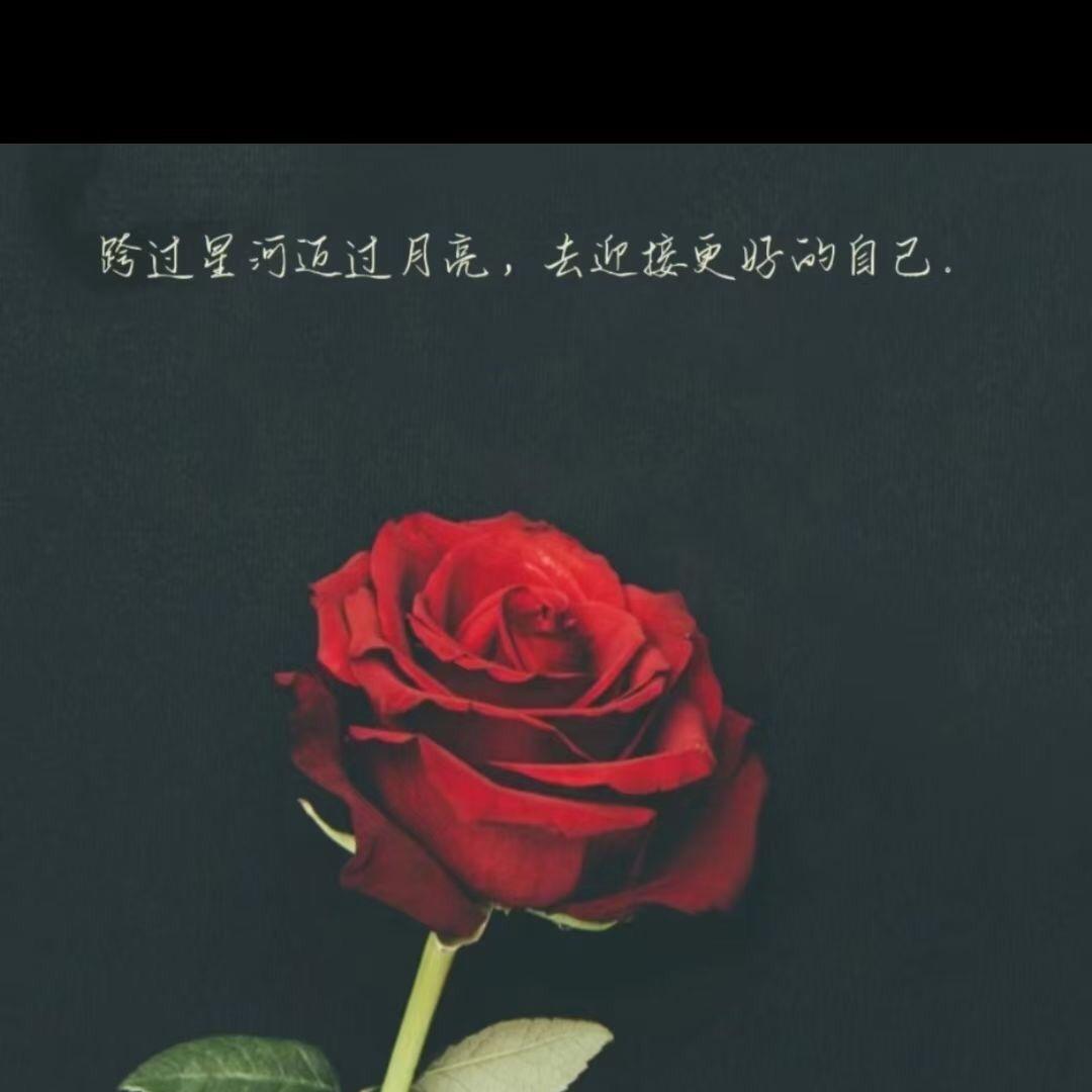 西西666