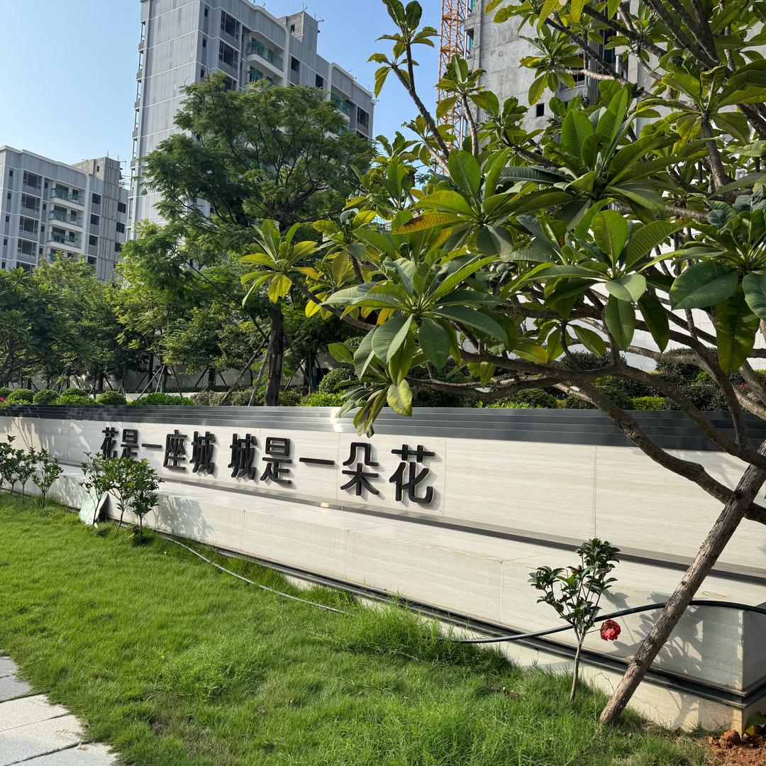 努力奔跑的小露