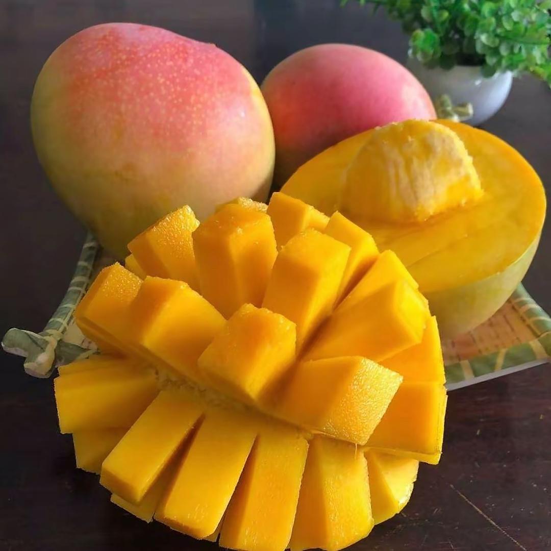 芒果新鲜季