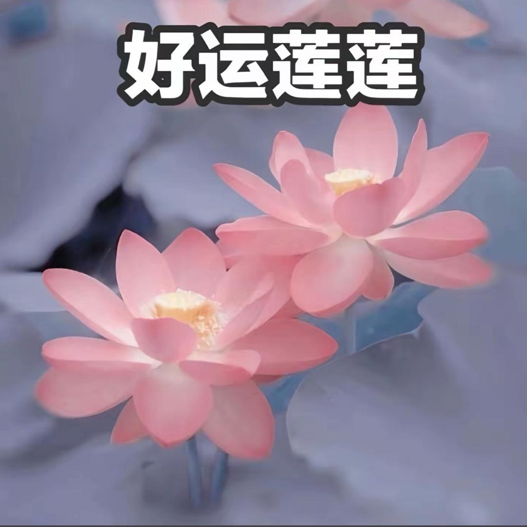 Ss。