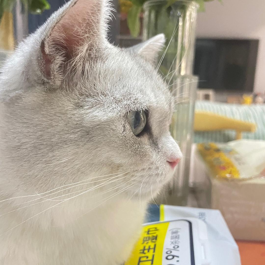 重生之我在杭州拉破烂