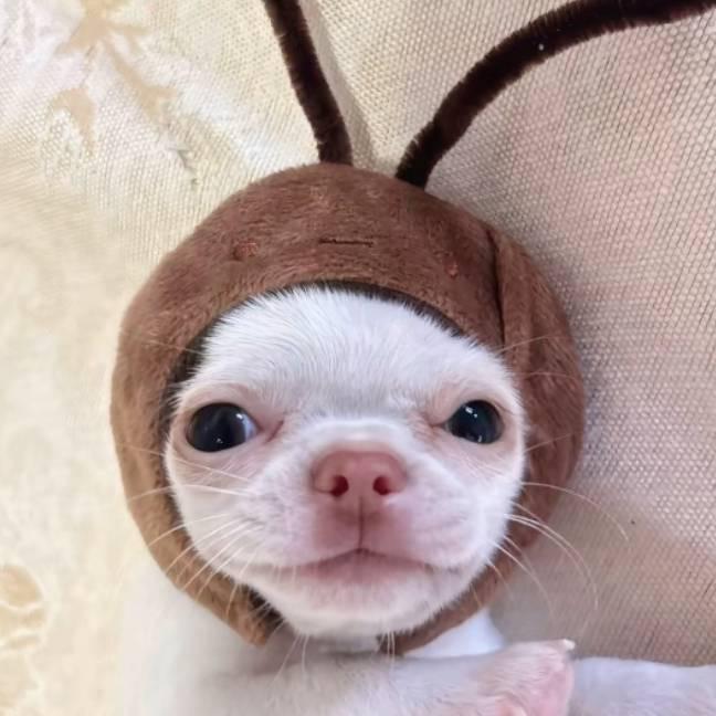 老公站街我收钱