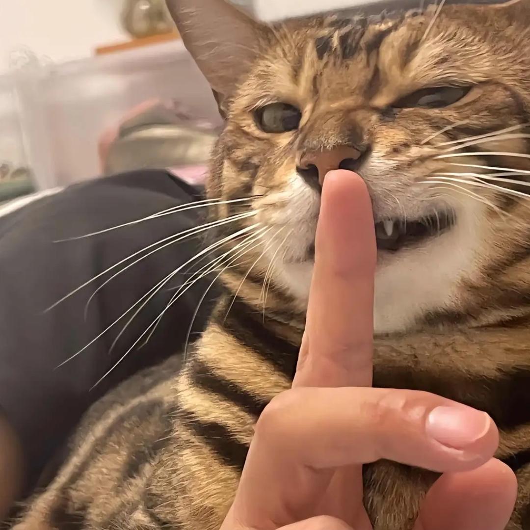 嘎巴.
