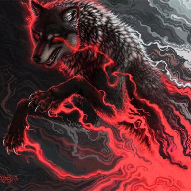 天狼🐺