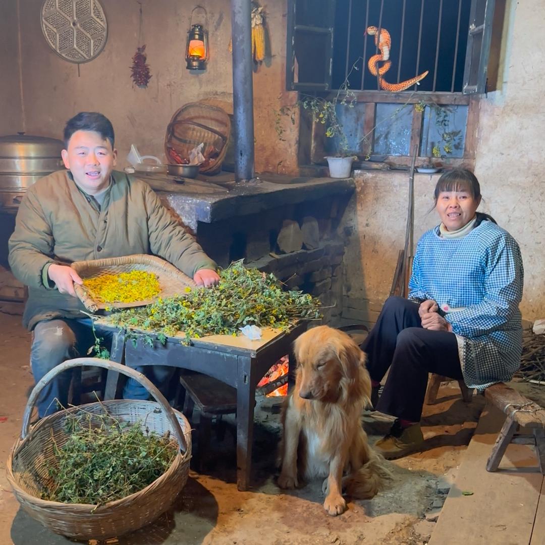 胡草草山记