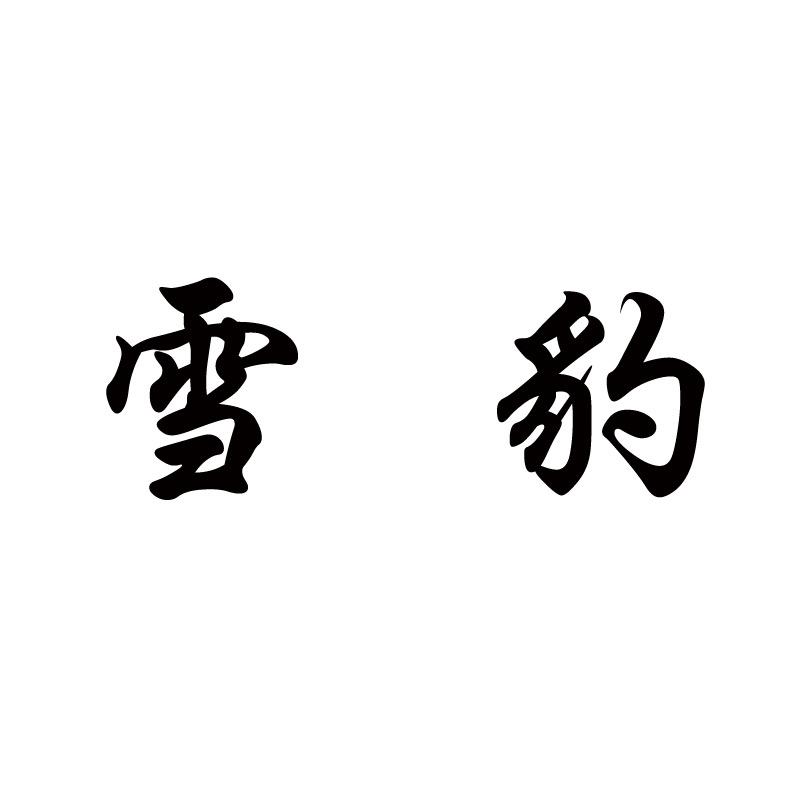 雪豹户外鞋