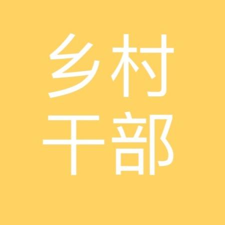 乡村干部小杨vlog