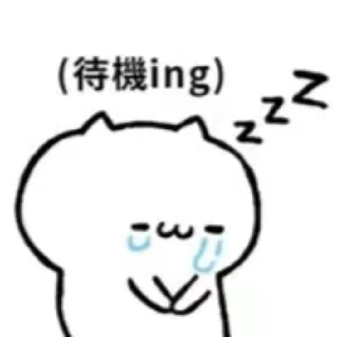 椿屋浣熊
