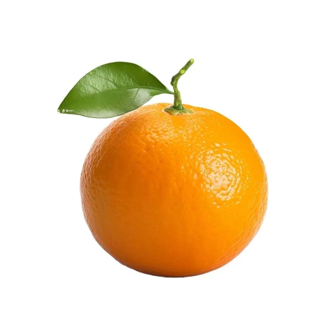 休休