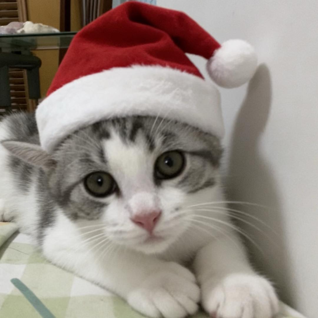 雨说爱我胜老蒯