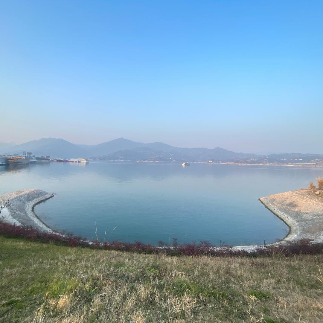 翩若惊鸿.影