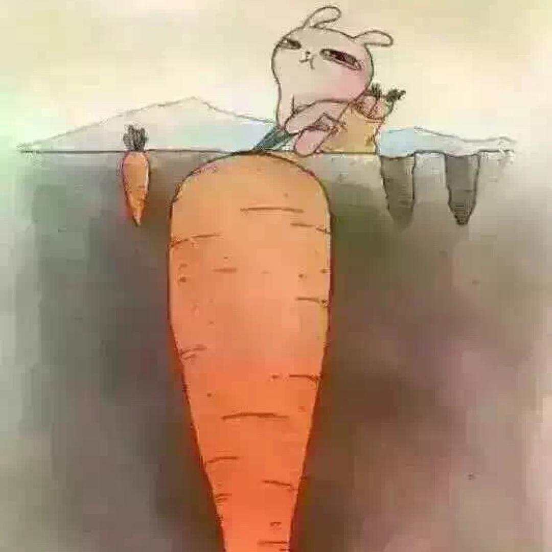 成都光影相机商行