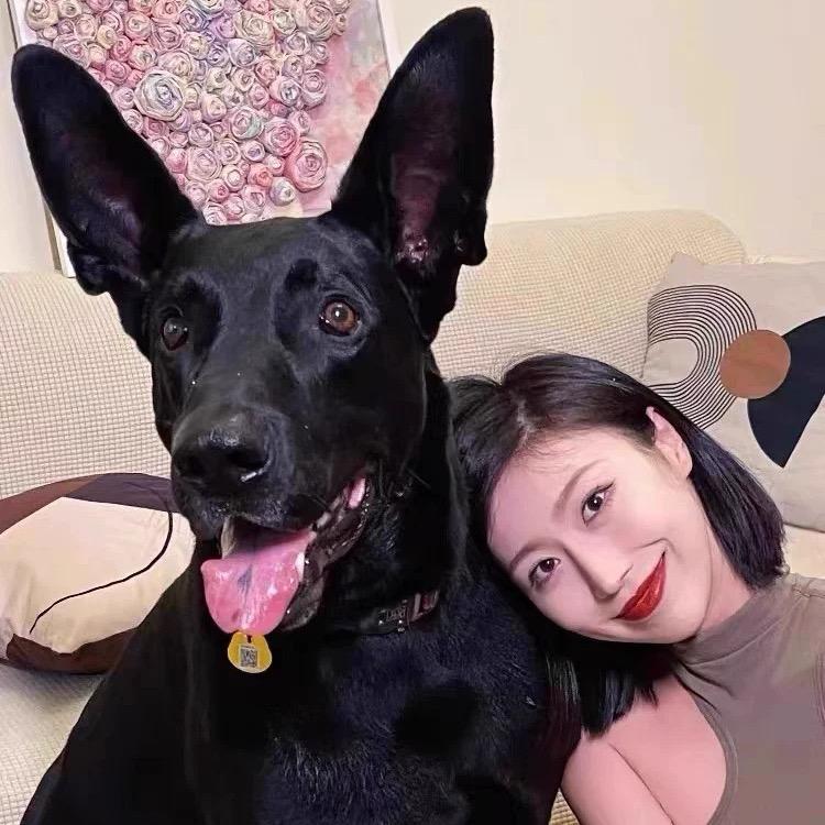 养犬小王