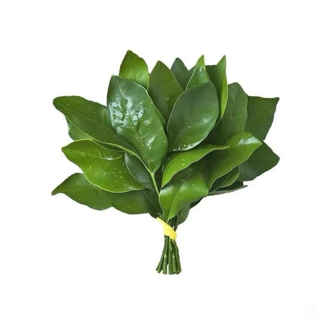 西伯利亚花果山社恐泪失禁蕾丝性感大母猴