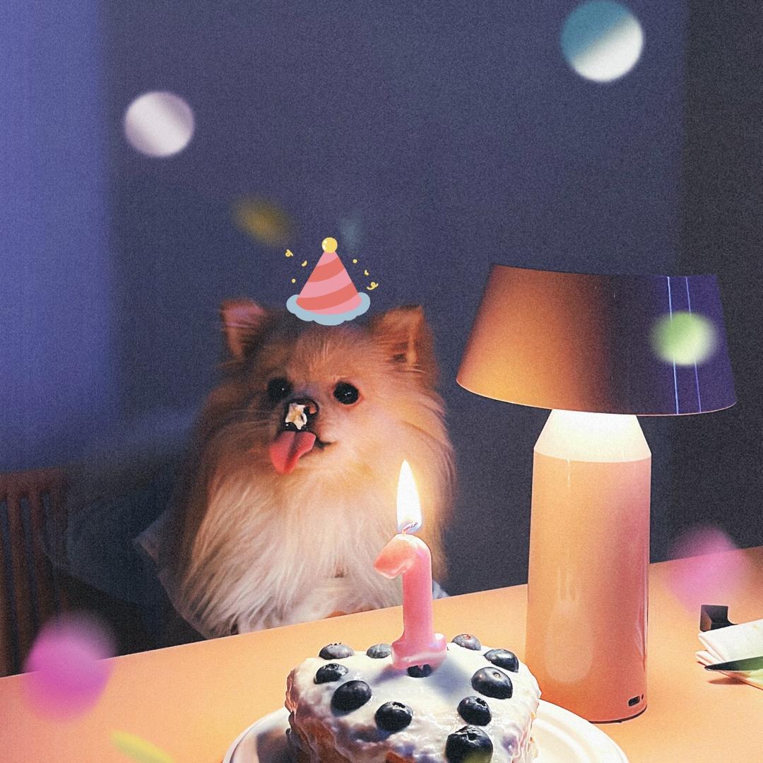 小伊蛋糕卷🍰