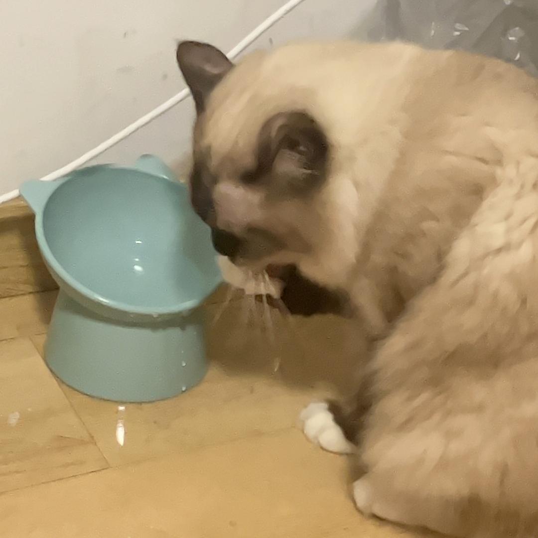 不苦不会苦