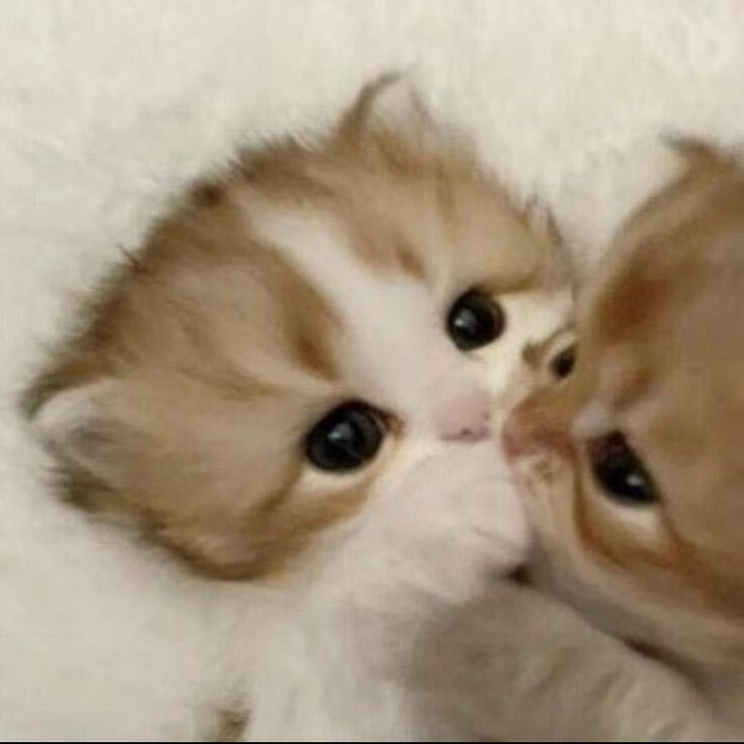 xYyy