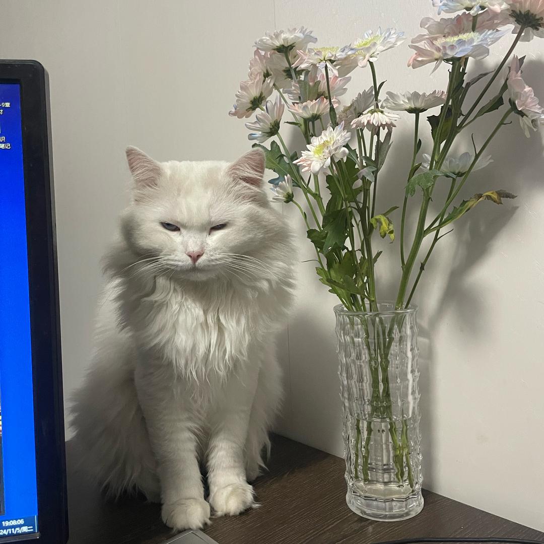 木作高定｜小纪设计