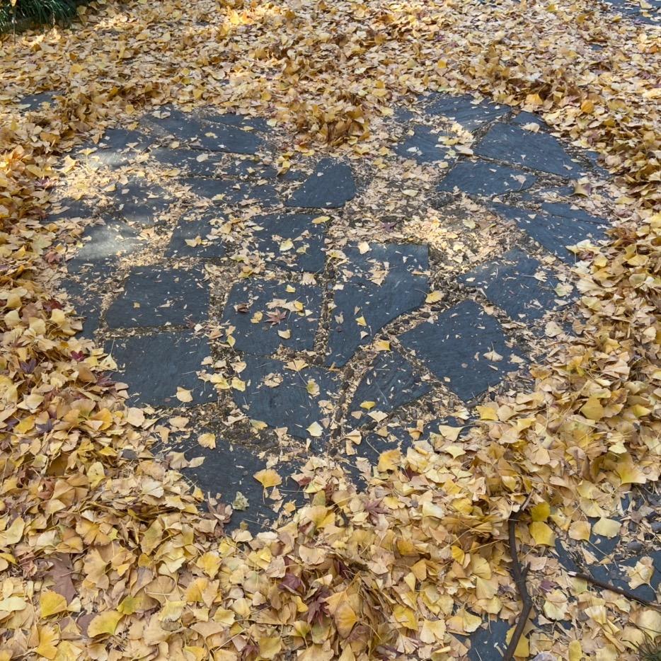 火车开往哪里去