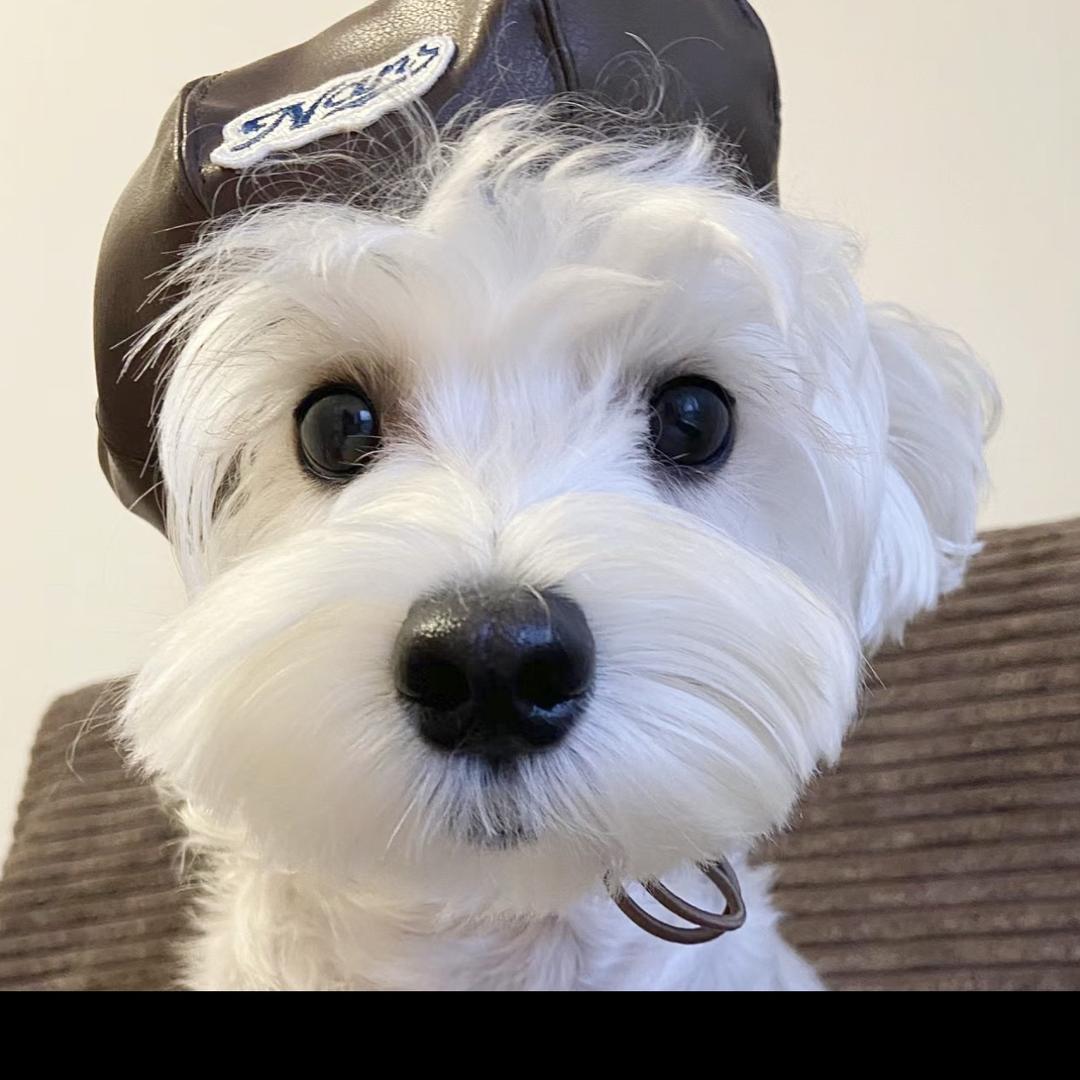 爱玩TK的亚马逊卖家