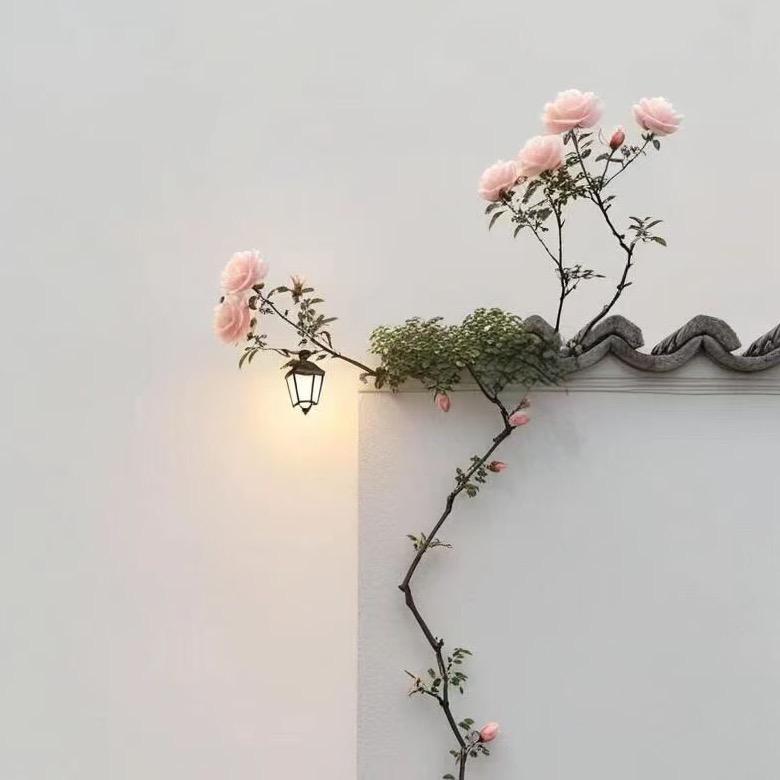 梅姐(单身)