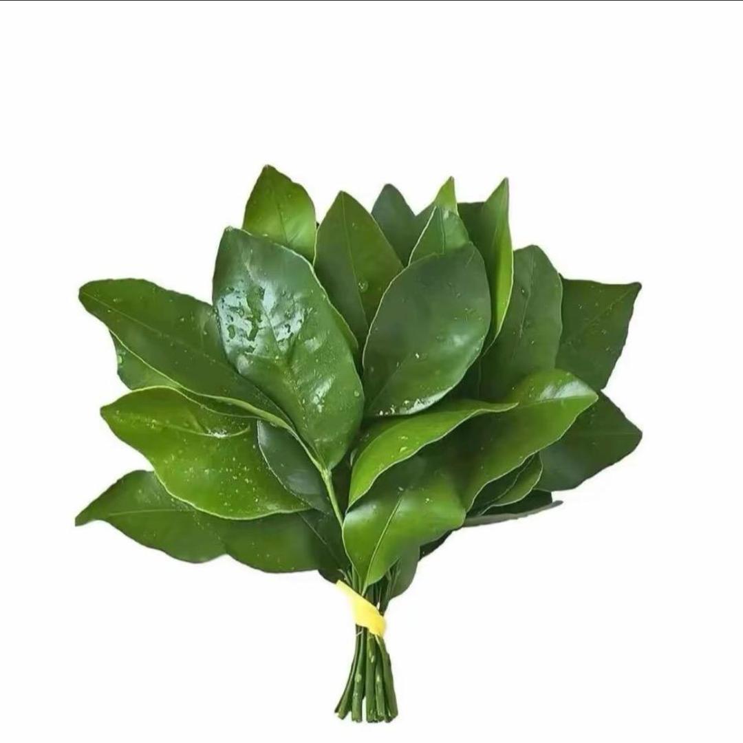 LLL