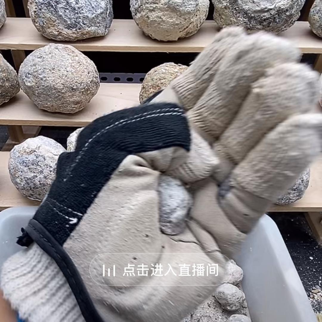 宇豪