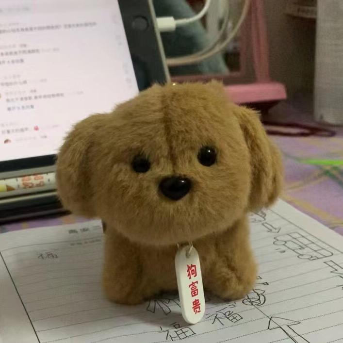 高安范衣库男装皮姐育红服装店