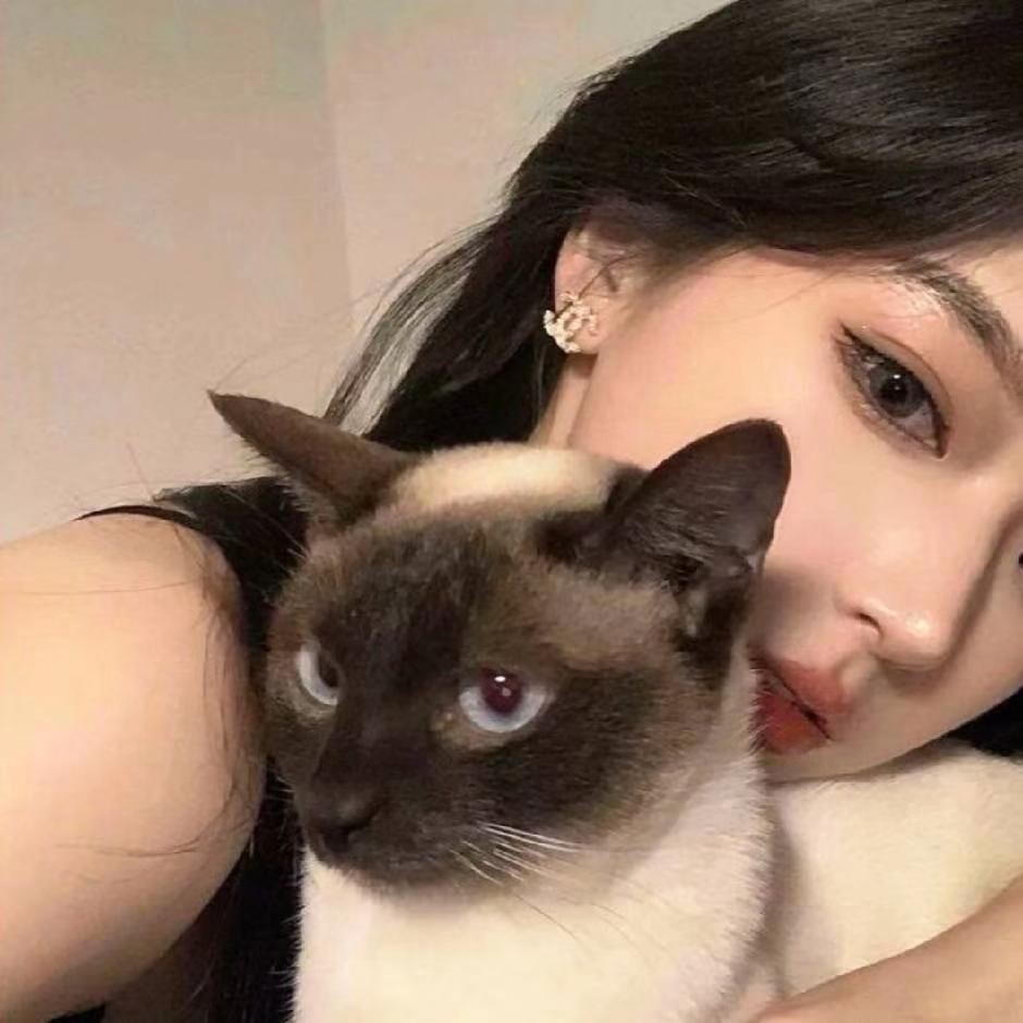 杨小杨💜🌸