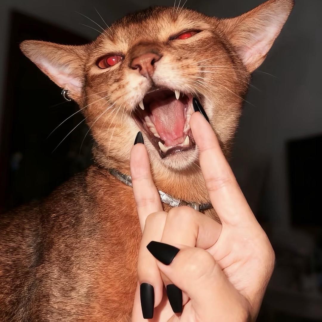 Bella